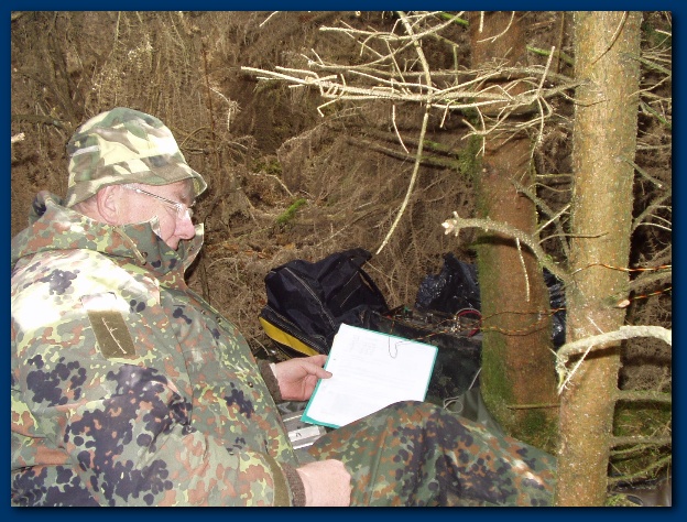 600x449 pixels (176K)