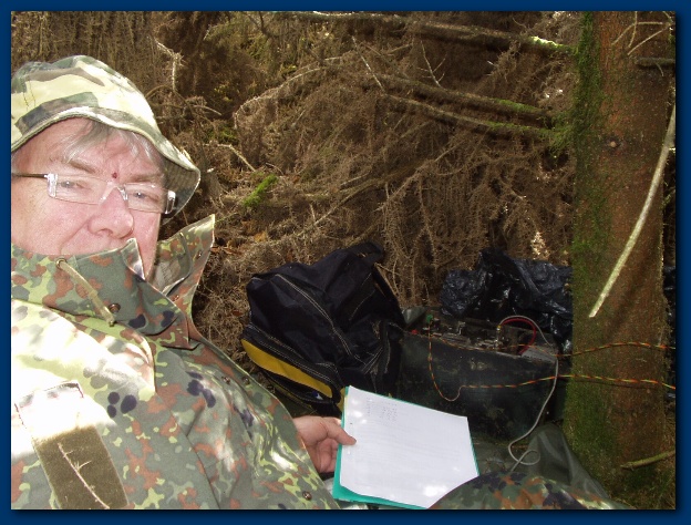 600x449 pixels (151K)