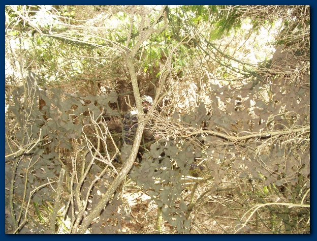 600x449 pixels (216K)