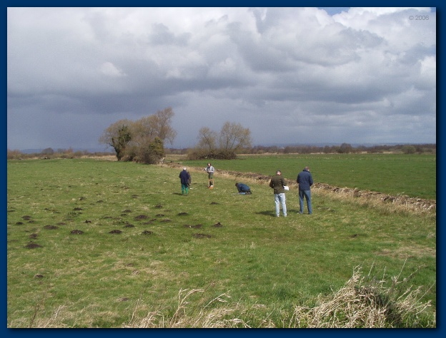 600x449 pixels (120K)