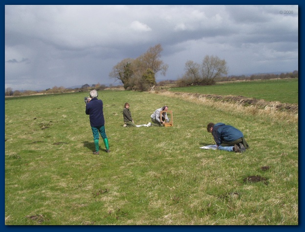 600x449 pixels (132K)