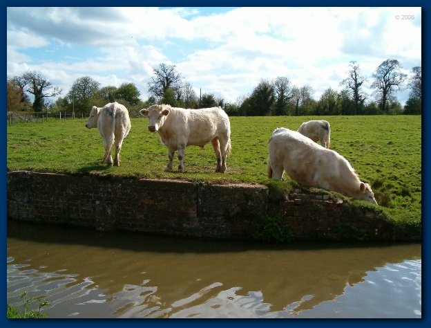 600x449 pixels (123K)