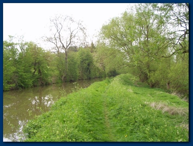 600x449 pixels (165K)