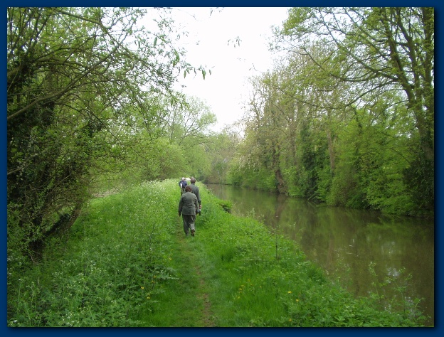 600x449 pixels (171K)