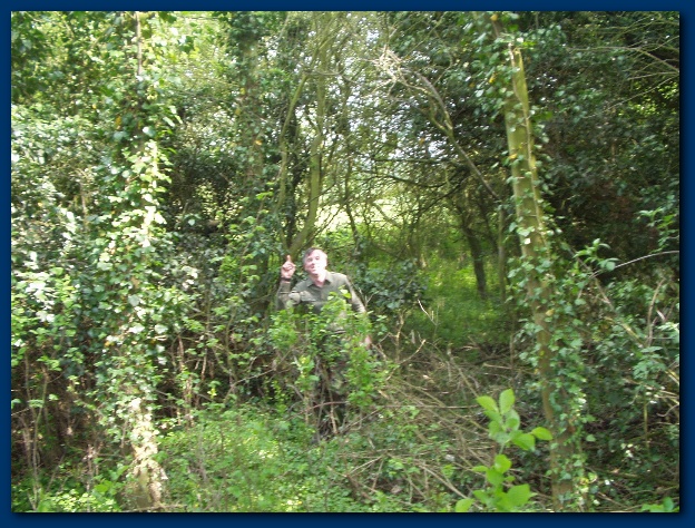 600x449 pixels (204K)