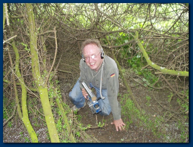 600x449 pixels (194K)