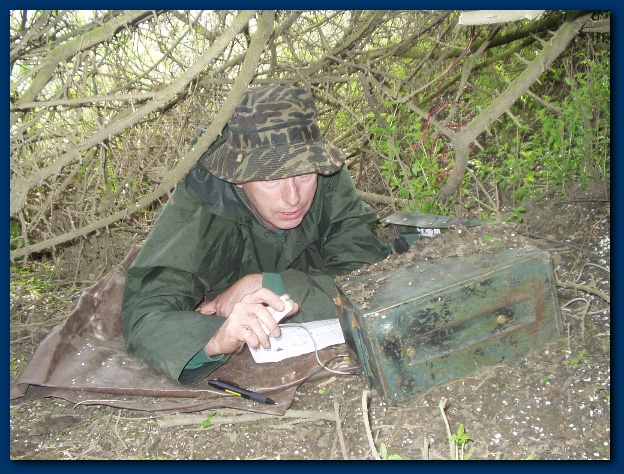 600x449 pixels (185K)