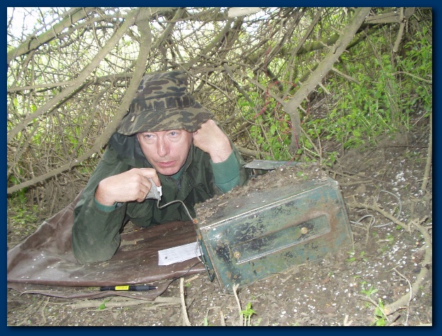 600x449 pixels (186K)