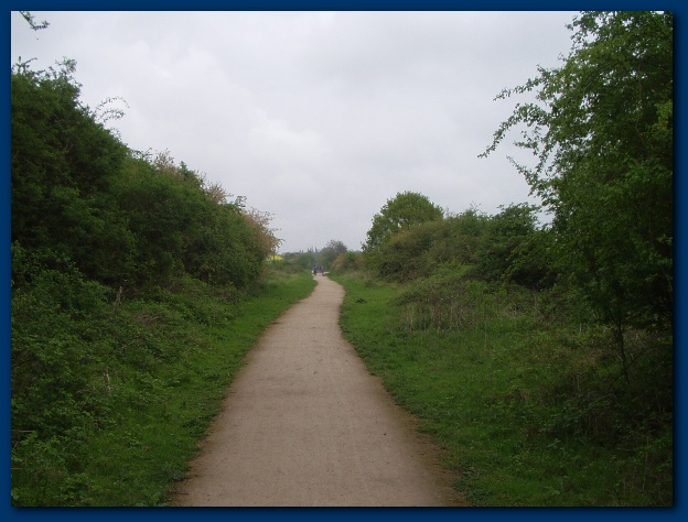 600x449 pixels (113K)