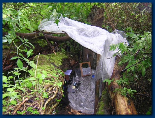 600x449 pixels (186K)