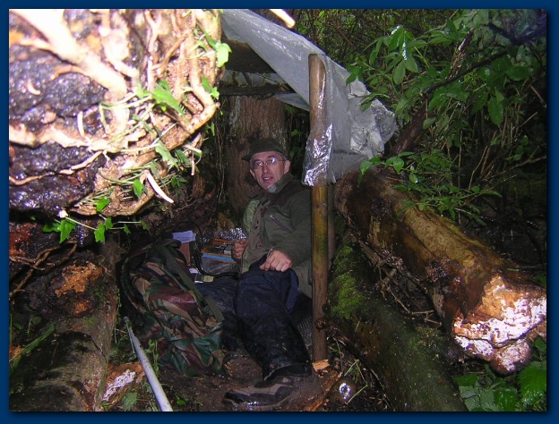 600x449 pixels (162K)