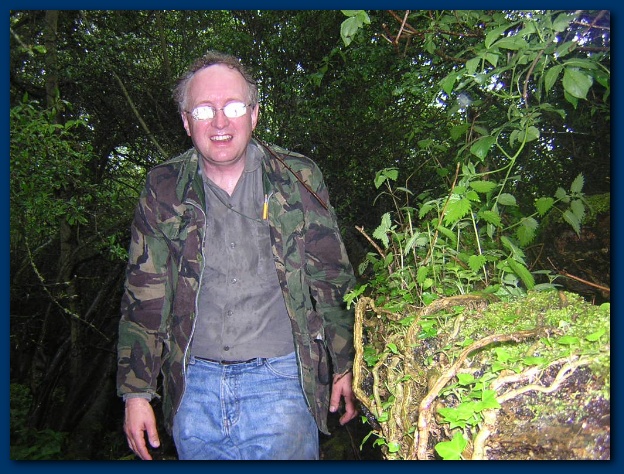 600x449 pixels (182K)