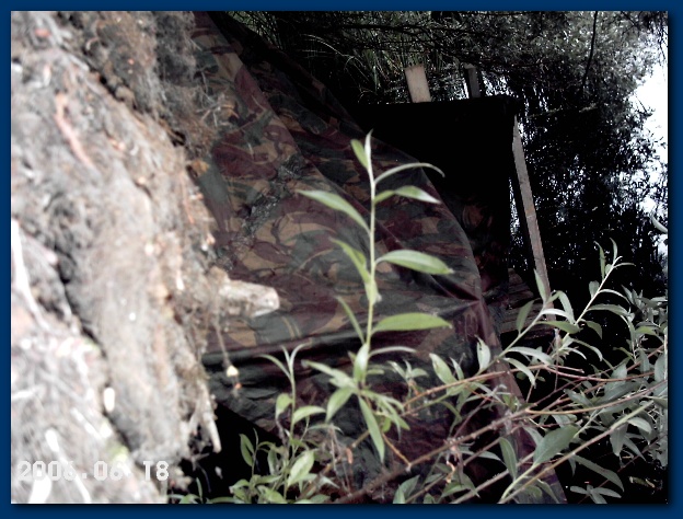 600x449 pixels (143K)