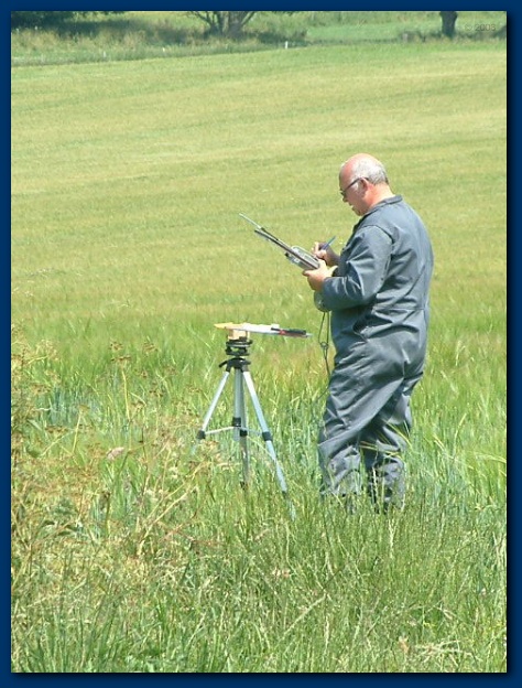 450x599 pixels (149K)