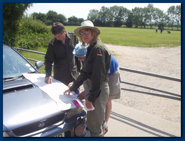 600x449 pixels (141K)