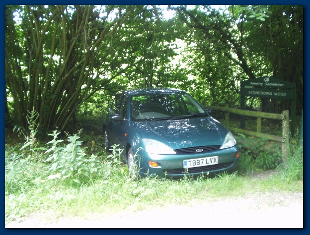 600x449 pixels (173K)