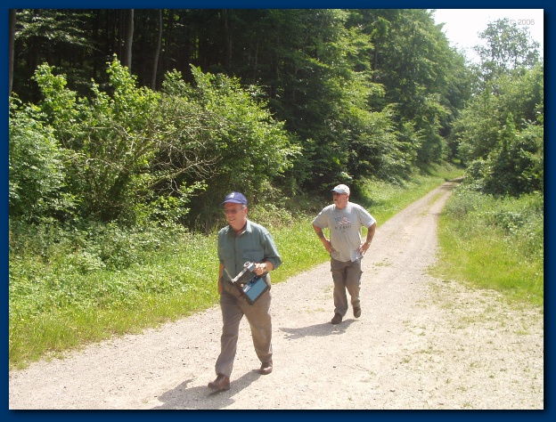 600x449 pixels (183K)