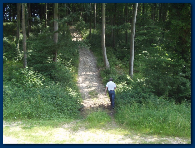 600x449 pixels (163K)