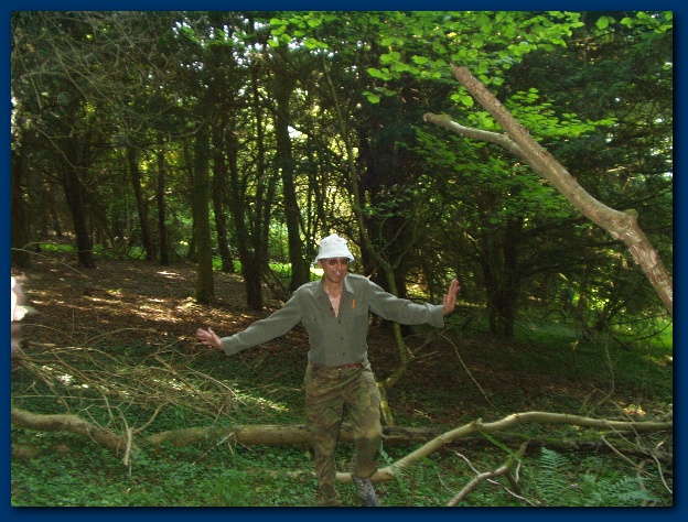 600x449 pixels (173K)