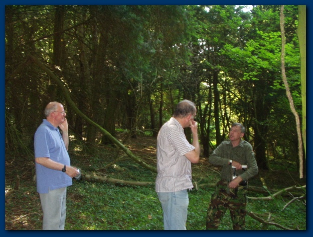 600x449 pixels (163K)