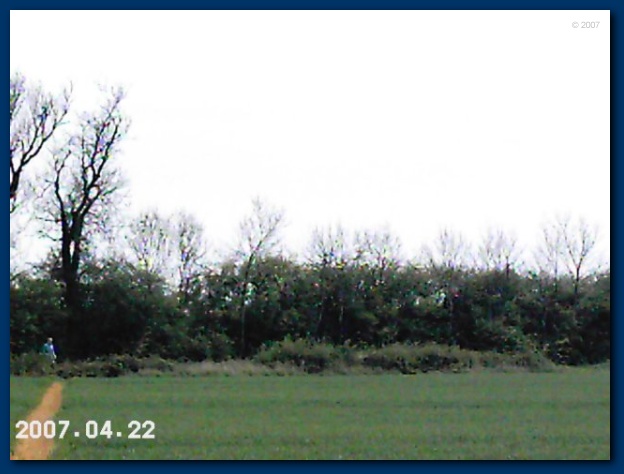 600x449 pixels (77K)