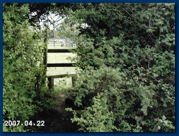 600x449 pixels (160K)