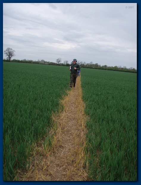 450x599 pixels (116K)