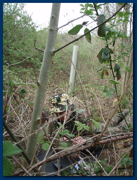 450x599 pixels (191K)