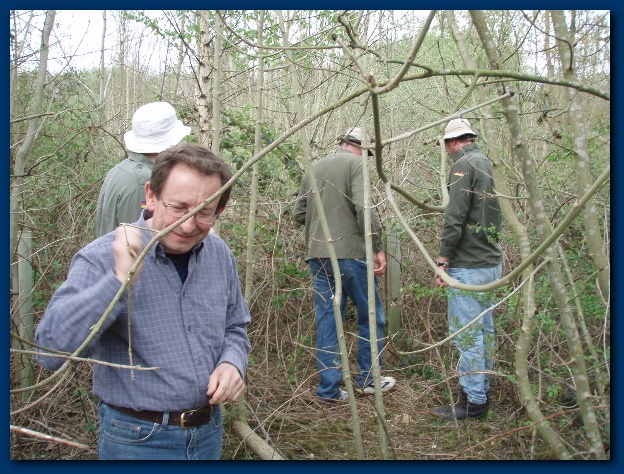 600x449 pixels (187K)