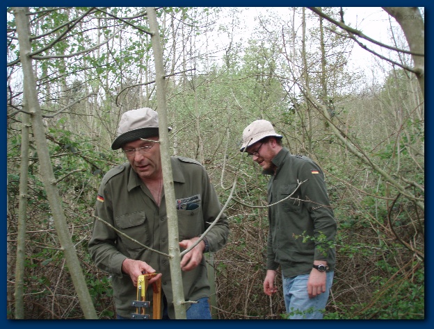 600x449 pixels (179K)