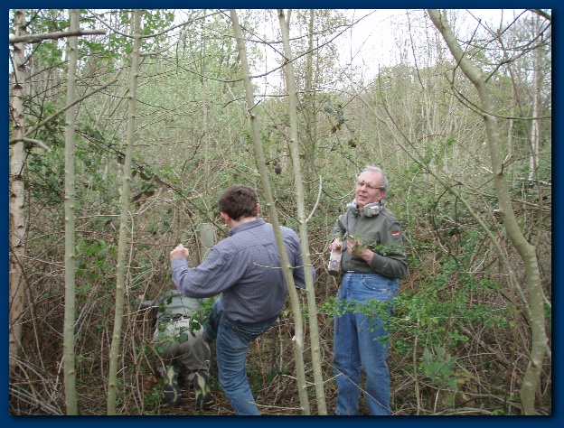 600x449 pixels (191K)