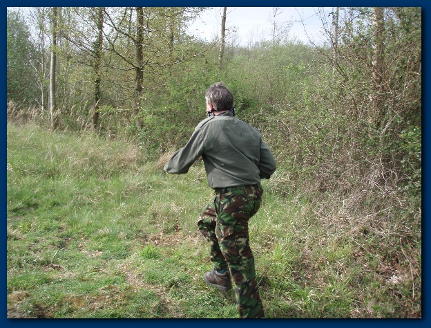 600x449 pixels (202K)