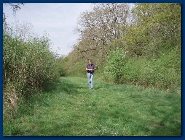 600x449 pixels (177K)