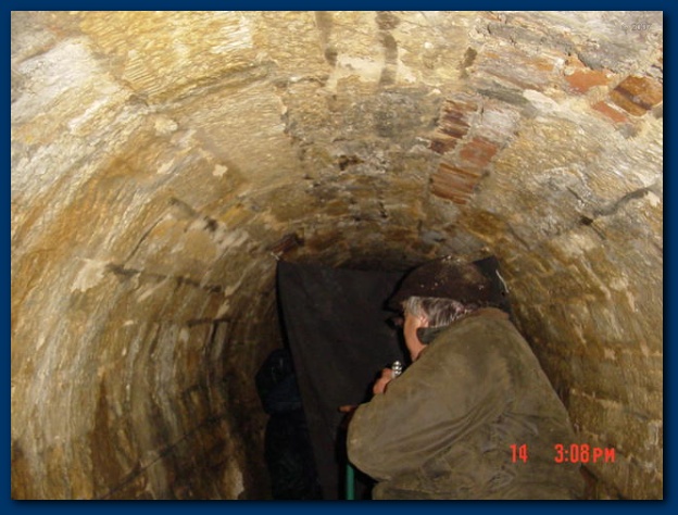 600x449 pixels (113K)