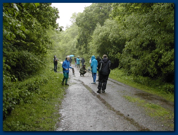 600x449 pixels (181K)