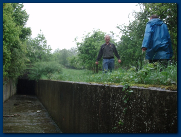 600x449 pixels (98K)