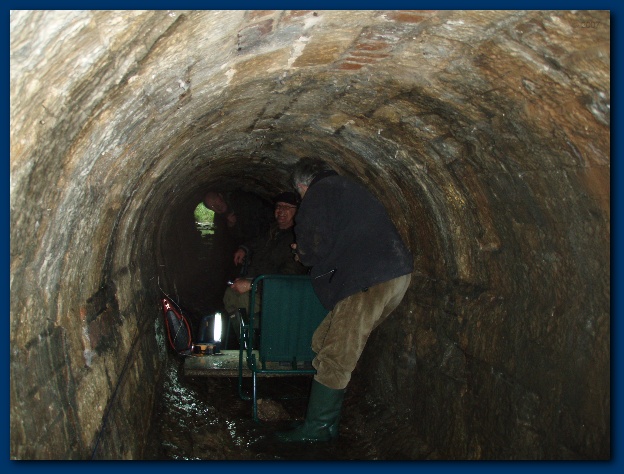 600x449 pixels (128K)