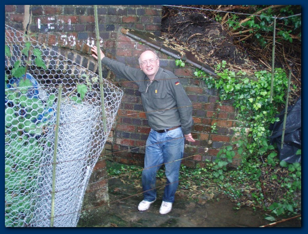 600x449 pixels (194K)