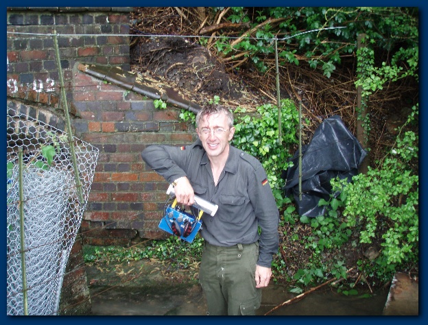 600x449 pixels (186K)