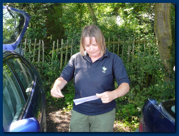 600x449 pixels (191K)