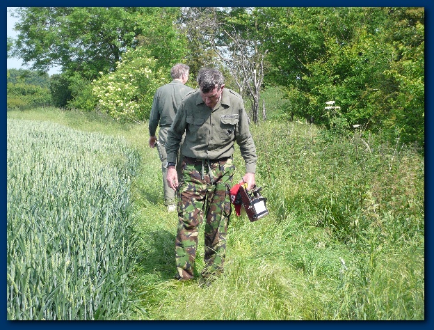 600x449 pixels (230K)