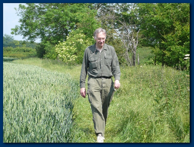 600x449 pixels (218K)