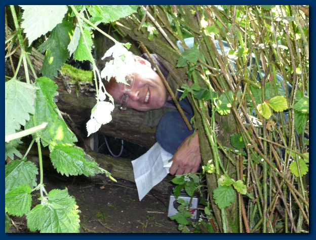 600x449 pixels (183K)