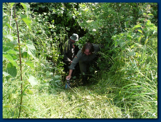 600x449 pixels (244K)