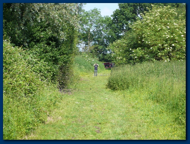 600x449 pixels (225K)