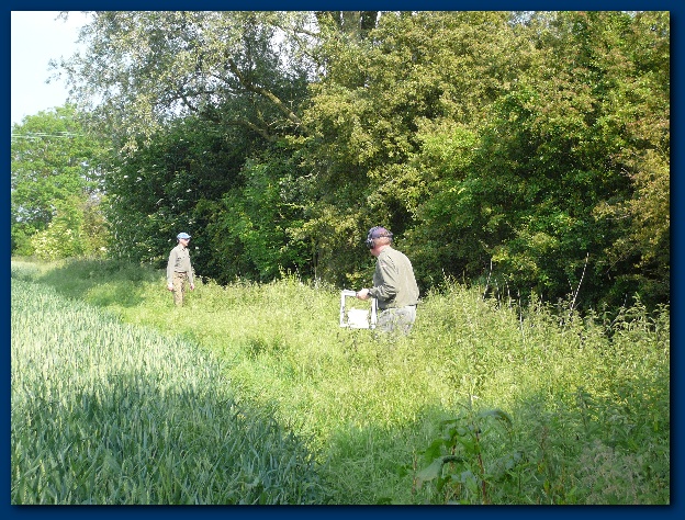 600x449 pixels (221K)