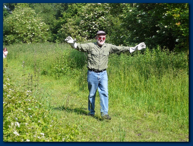 600x449 pixels (226K)