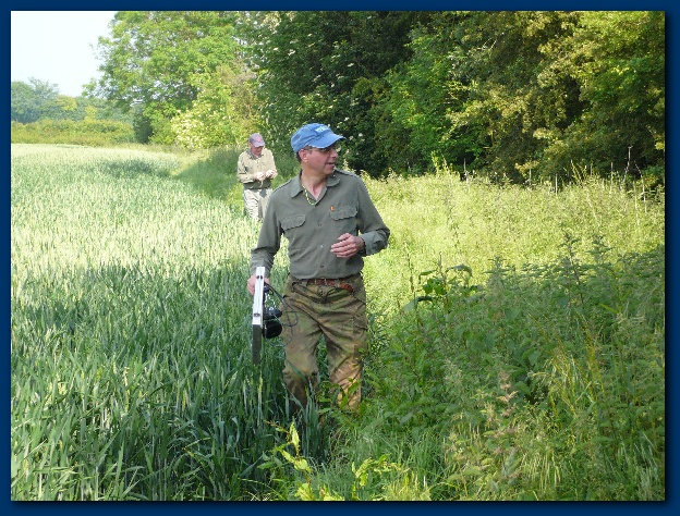 600x449 pixels (207K)