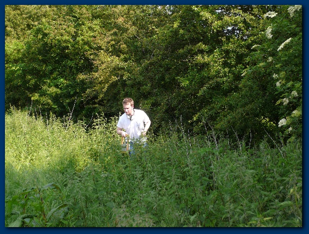 600x449 pixels (213K)