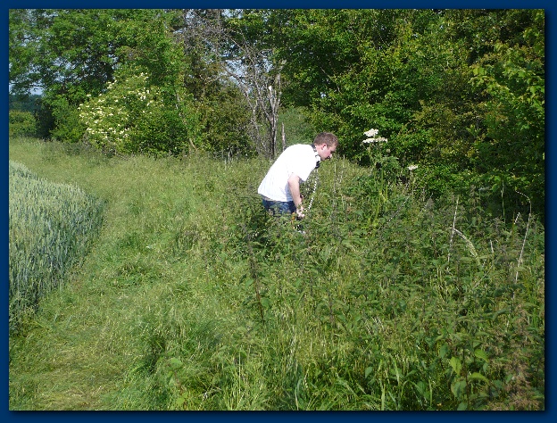 600x449 pixels (219K)